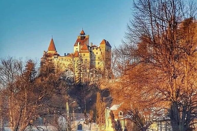 Brasov: Bears Sanctuary, Rasnov Fortress, Bran Castle GUIDED Tour - What the $70.61 price really covers