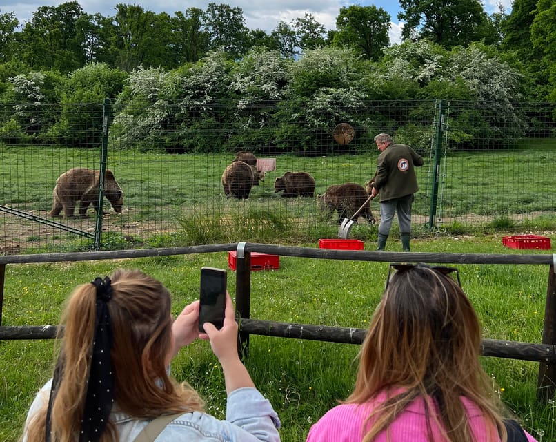 Brasov: Bran Castle, Bear Sanctuary, Rasnov (Peles Optional) - What makes this Brasov day trip worth considering