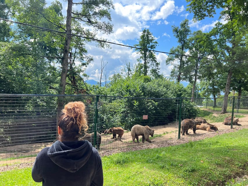 Brasov: Bran Castle, Bear Sanctuary, Rasnov (Peles Optional) - A compact route from bears to medieval walls