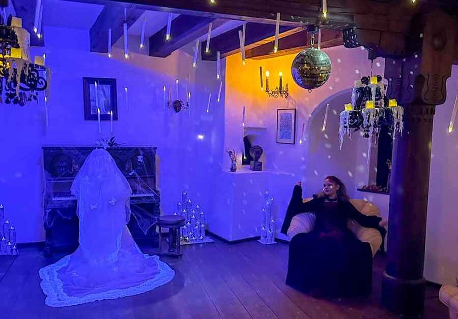 Brasov: Bran Castle Halloween Party & Night Tour + Transport - Is $346 a fair price?