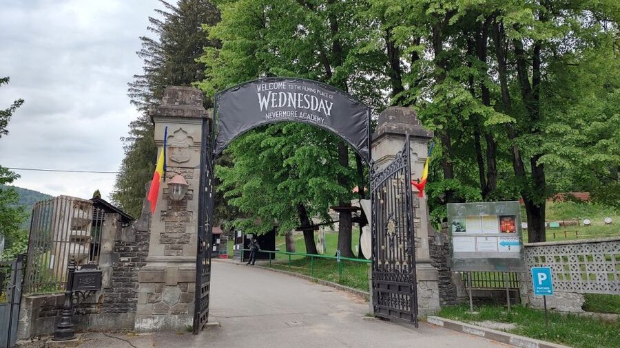 Brasov: Bran, Peles and Cantacuzino Castles Day Tour - What this Brașov castle tour is really like