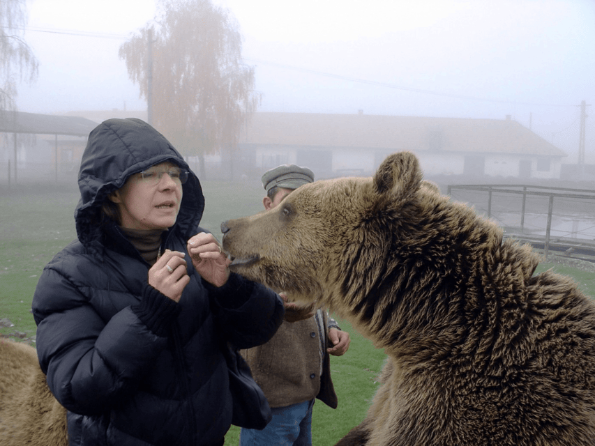 Brasov: Libearty Bear Sanctuary - Key points to know before you book
