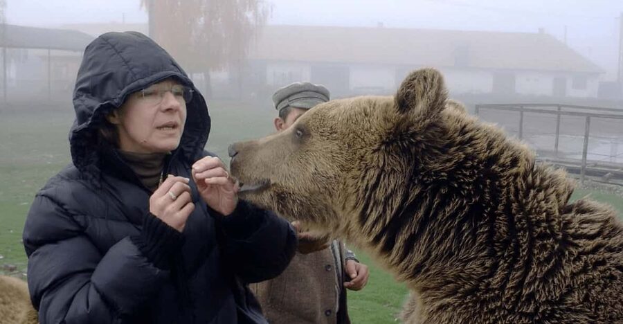Brasov: Libearty Bear Sanctuary - Walking through roughly 70 hectares of forest