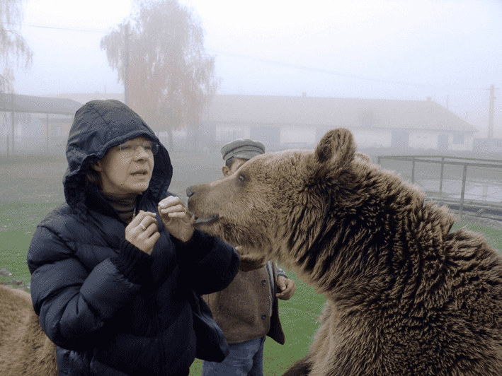 Brasov: Libearty Bear Sanctuary - The ride from Brașov to the sanctuary