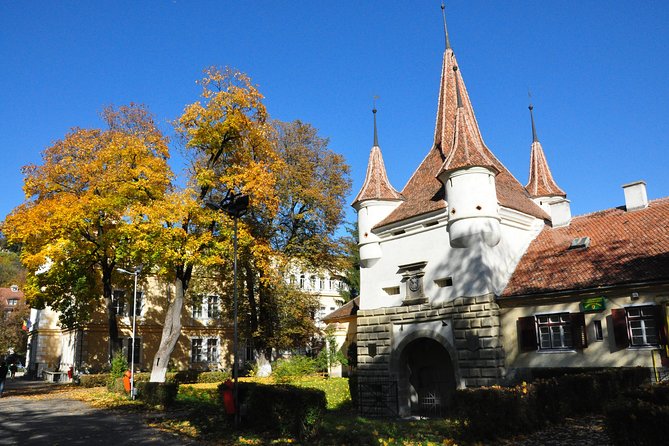 Brasov Old Town Small-Group Walking Tour - Price, group size, and overall value