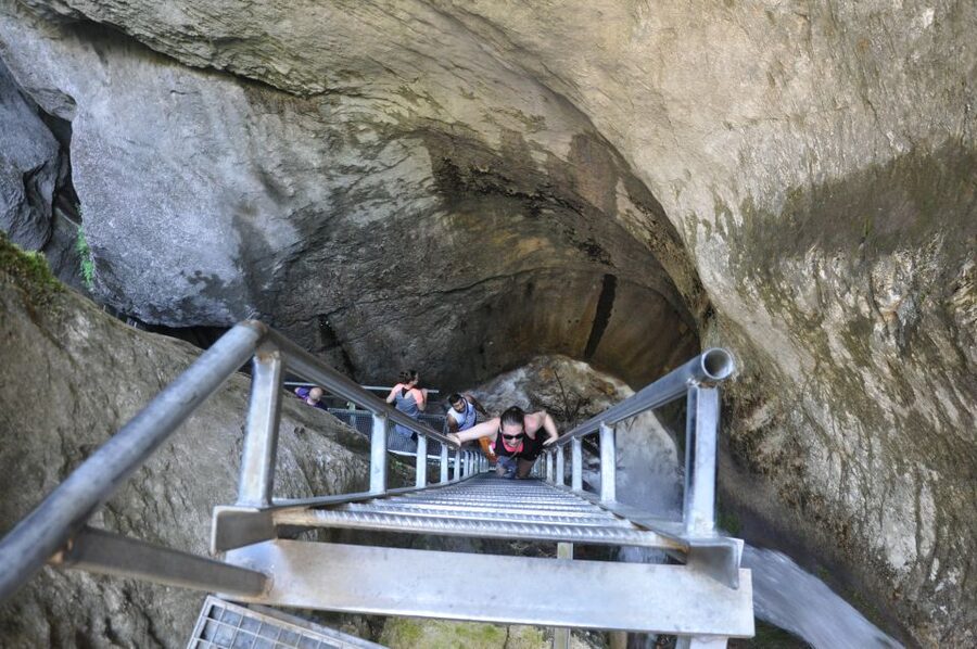 Brasov: Small-Group 7 Ladders Canyon Day Trip - The experience at a glance