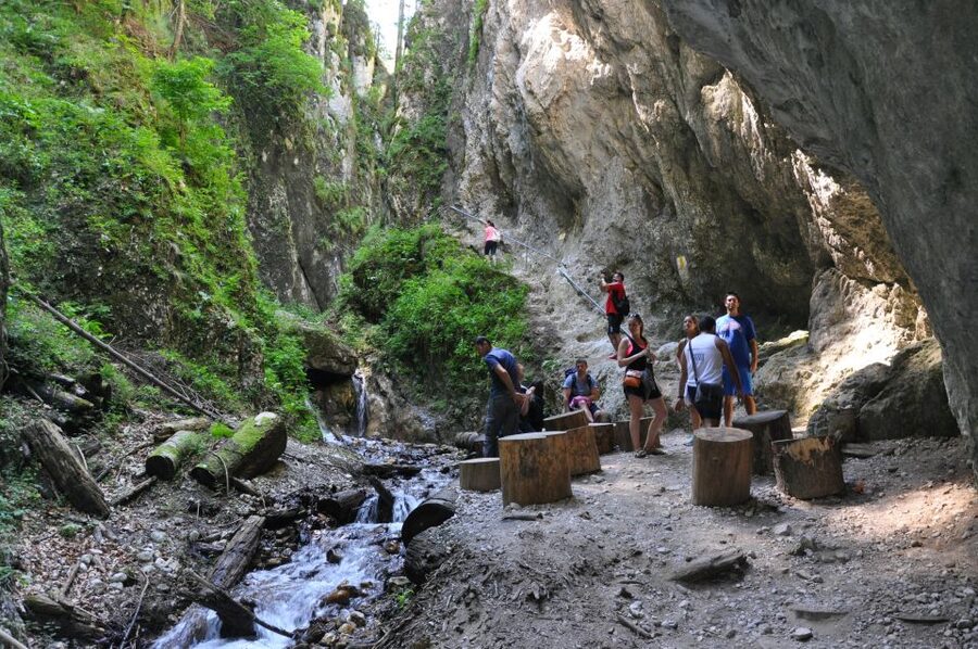 Brasov: Small-Group 7 Ladders Canyon Day Trip - The 45-minute walk to the canyon