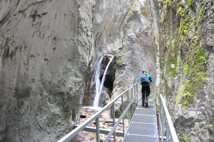 Brasov: Small-Group 7 Ladders Canyon Day Trip - Climbing the seven ladders