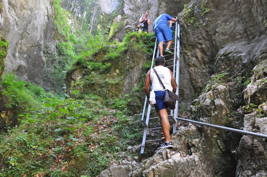 Brasov: Small-Group 7 Ladders Canyon Day Trip - The forest return and Bear Wall side trail