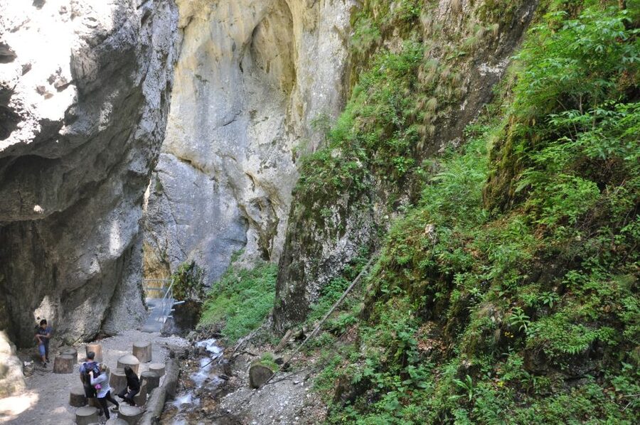 Brasov: Small-Group 7 Ladders Canyon Day Trip - What $76 buys you