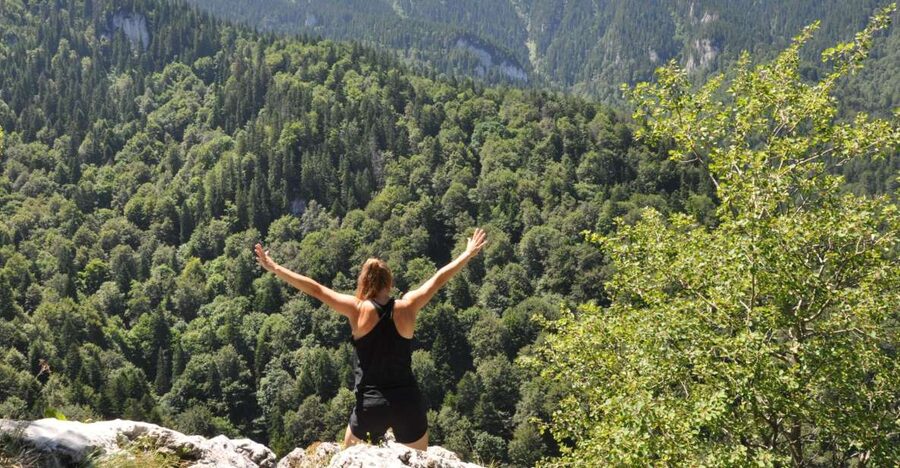 Brasov: Small-Group 7 Ladders Canyon Day Trip - From Brașov to the forest trailhead