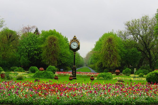 Bucarest à vélo - Herastrau Park: the route’s green breathing space