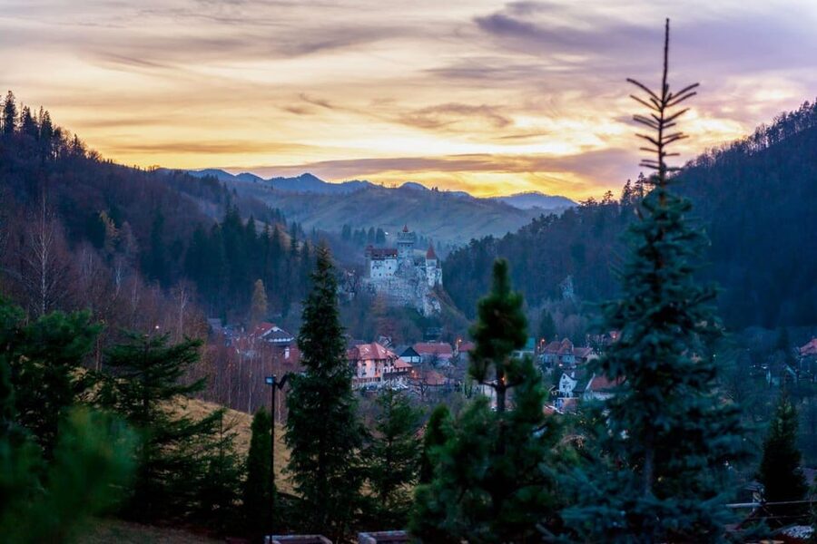 Bucharest: Bran Castle and Bear Sanctuary Small-Group Tour - Why this Bucharest day trip works