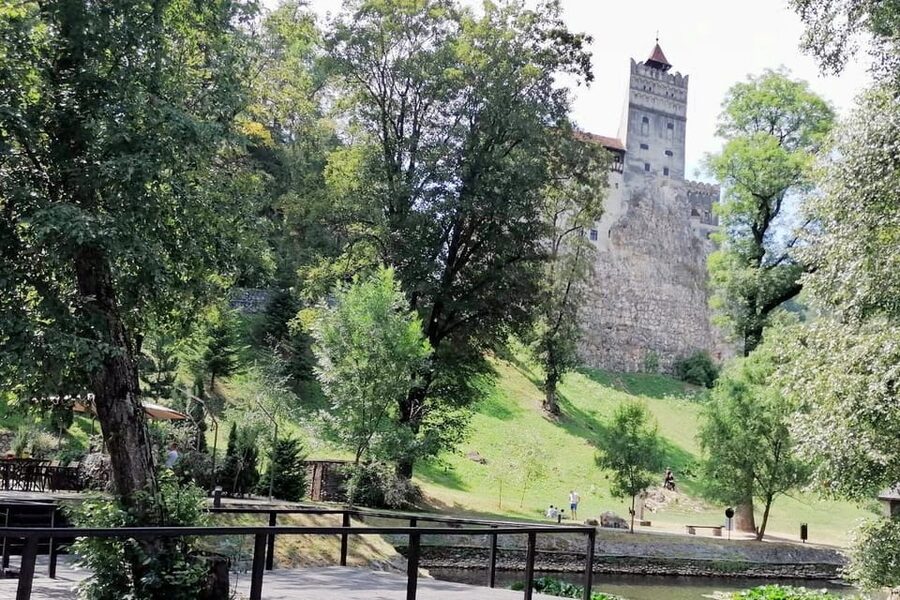 Bucharest: Bran Castle and Bear Sanctuary Small-Group Tour - Lunch and the small extras that improve the day