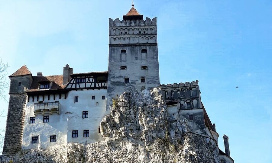 Bucharest: Bran Castle and Bear Sanctuary Small-Group Tour - Timing, walking, and the real drawbacks