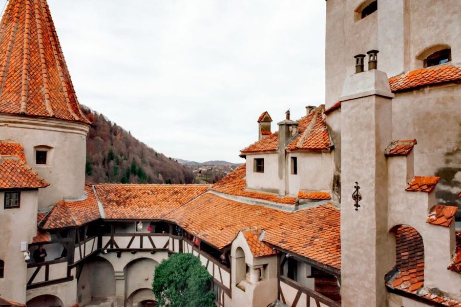 Bucharest: Bran Castle and Bear Sanctuary Small-Group Tour - Who should book this tour