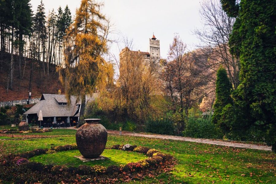 Bucharest: Bran Castle and Bear Sanctuary Small-Group Tour - The road from Bucharest to the Carpathians