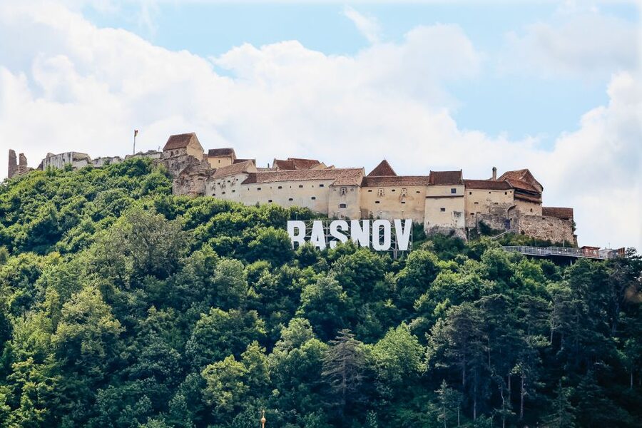 Bucharest: Bran & Peles Castle with Rasnov Citadel Day Trip - Who should book this day trip?