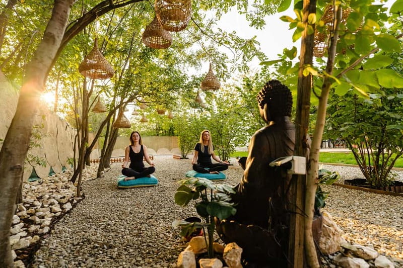 Bucharest: Day Trip at the The Tribe Alpaca Retreat - Lunch adds real value to the $64 price