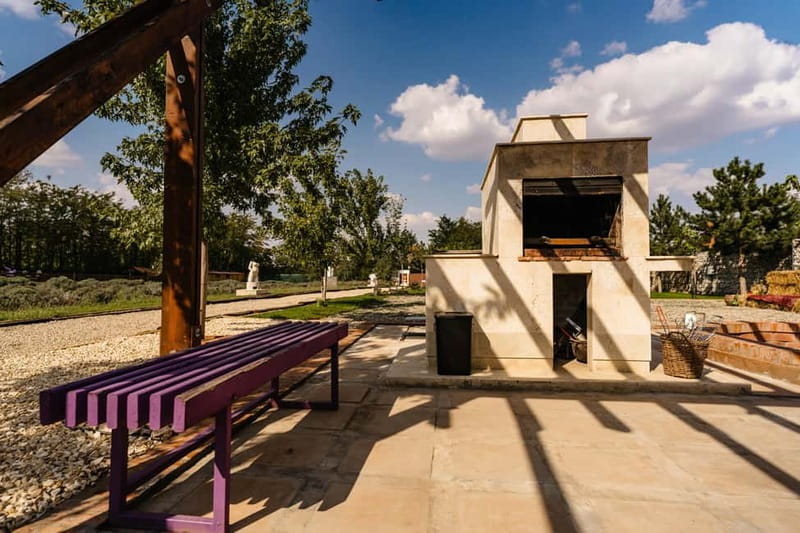 Bucharest: Day Trip at the The Tribe Alpaca Retreat - A good choice for a calm half-day
