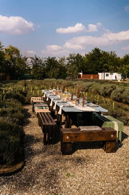 Bucharest: Day Trip at the The Tribe Alpaca Retreat - FAQ