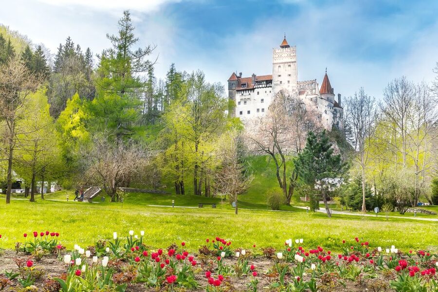 Bucharest: Day Trip to Dracula Castle, Peles Castle & Brașov - The road time and the true length of the day