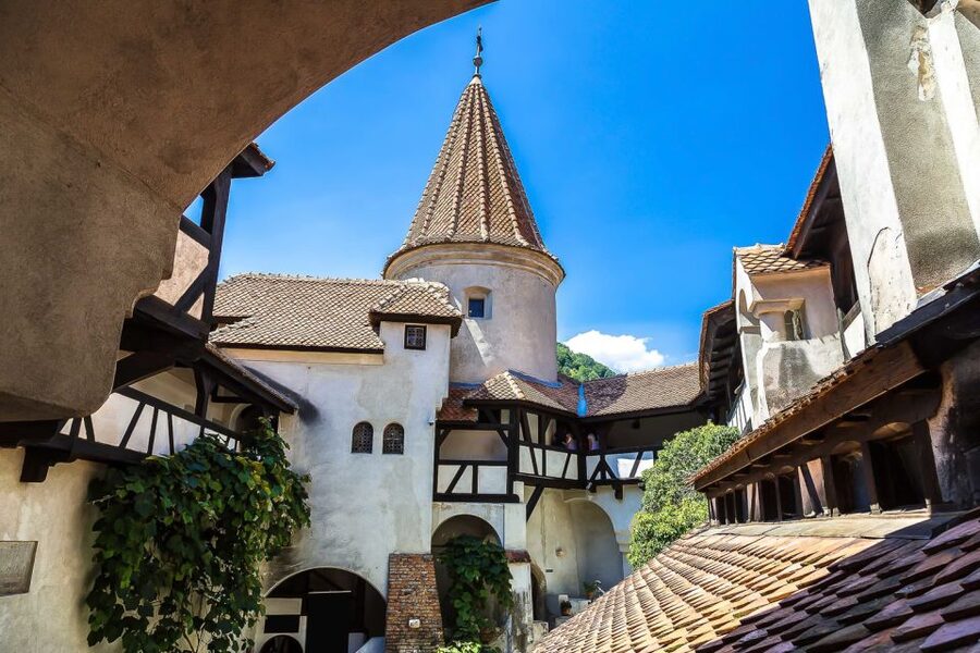 Bucharest: Day Trip to Dracula Castle, Peles Castle & Brașov - What the $45 price really covers