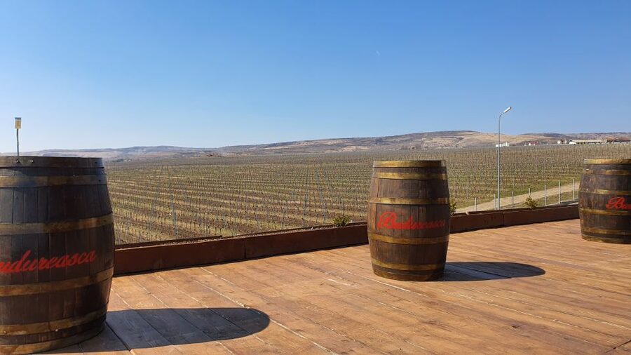 Bucharest: Dealu Mare Winery Private Trip with Wine Tasting - Key points to know before booking