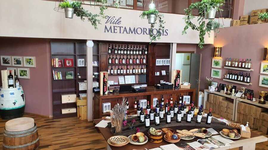 Bucharest: Dealu Mare Winery Private Trip with Wine Tasting - Booking details worth knowing