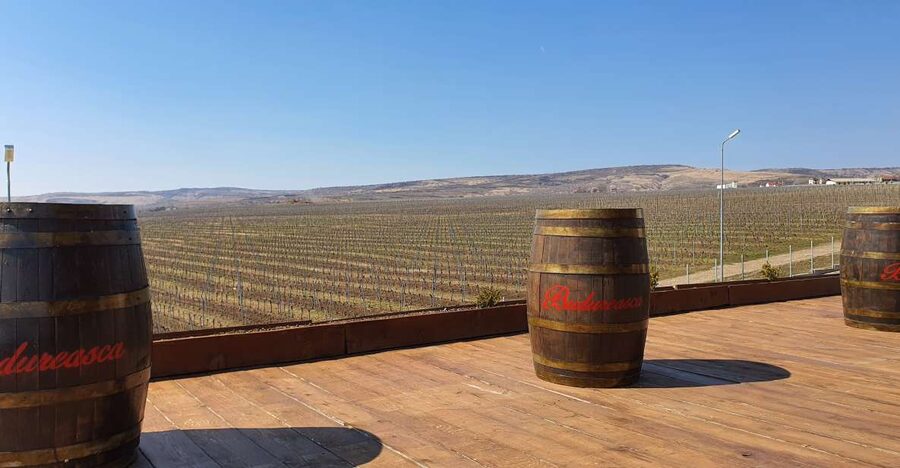 Bucharest: Dealu Mare Winery Private Trip with Wine Tasting - A second winery, with a different point of comparison
