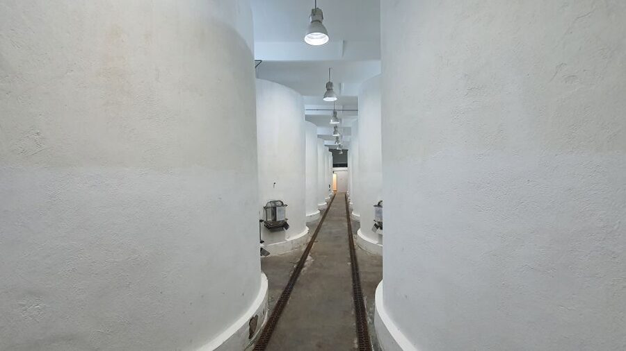 Bucharest: Dealu Mare Winery Private Trip with Wine Tasting - What the private format changes