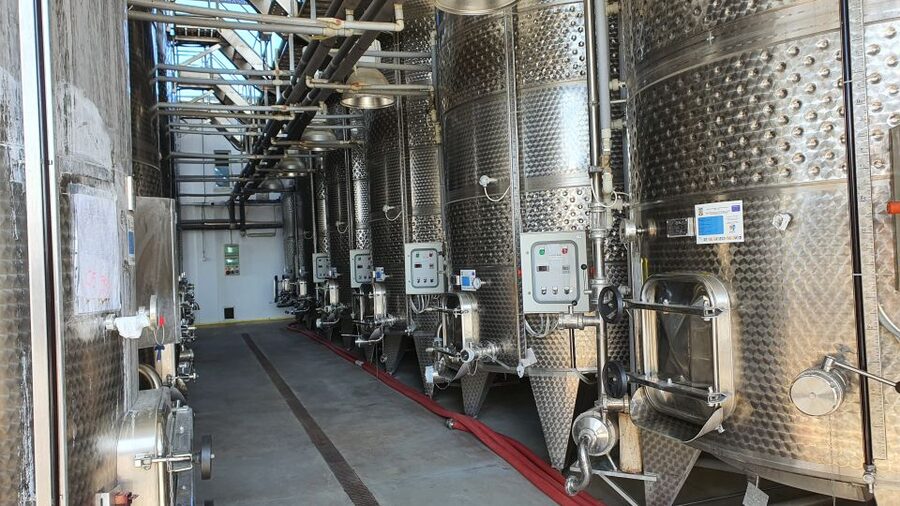 Bucharest: Dealu Mare Winery Private Trip with Wine Tasting - Who will enjoy this outing most?