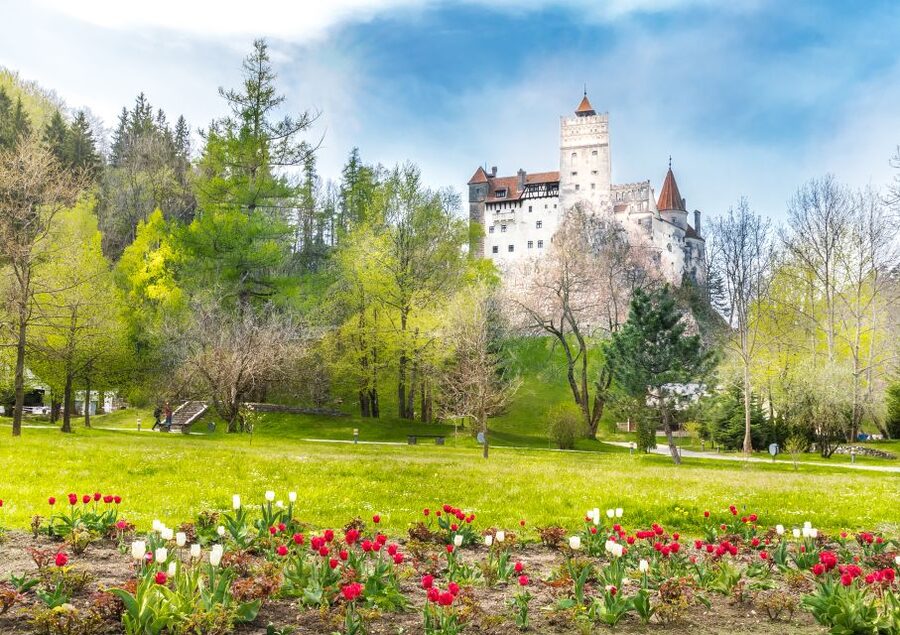 Bucharest: Dracula Castle, Peles Castle & Brasov Guided Tour - Why this Bucharest day trip works