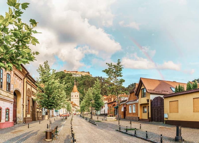 Bucharest: Dracula's Castle, Peleș Castle & Brașov Day Trip - What the $23 price really buys