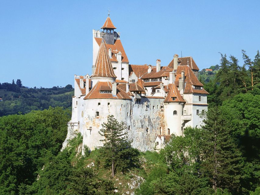 Bucharest: Dracula's Castle, Peles Castle, & Brasov Old Town - Key points to know before booking
