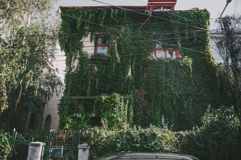 Bucharest: Hidden Gems 2.5-Hour Walking Tour - A covrig break with a little history