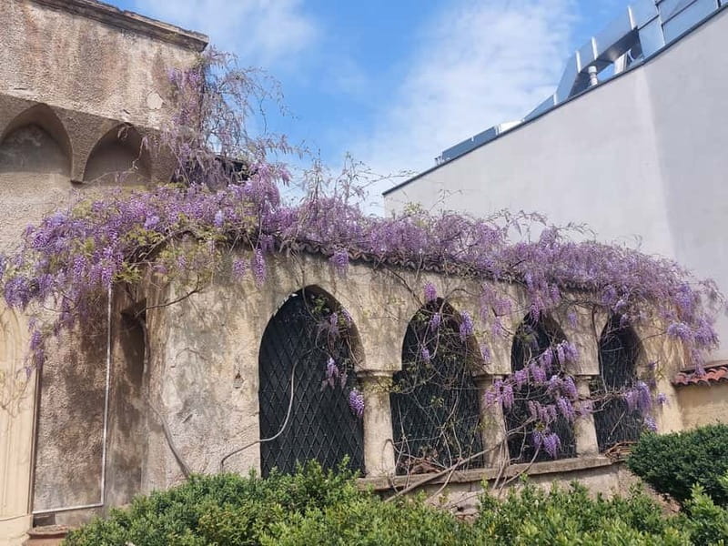 Bucharest: Hidden Gems 2.5-Hour Walking Tour - Guides, group size, and tour pace