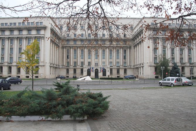 Bucharest Layover Tour (4 - Hour Private City Tour Between Flights) - Choosing a museum visit
