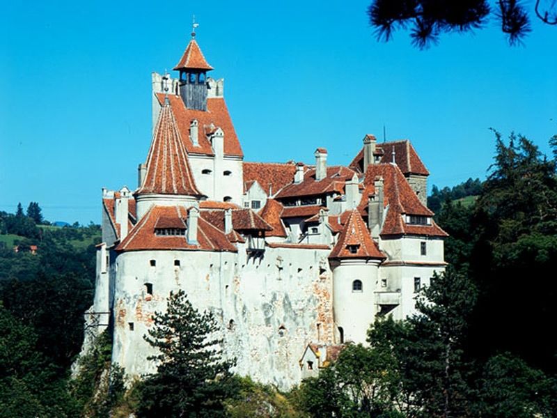 Bucharest: Peles Castle, Dracula's Castle and Brasov Tour - Why this Bucharest day trip works