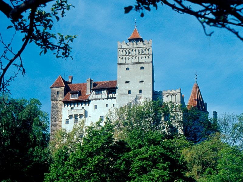 Bucharest: Peles Castle, Dracula's Castle and Brasov Tour - The private vehicle and guide matter a great deal