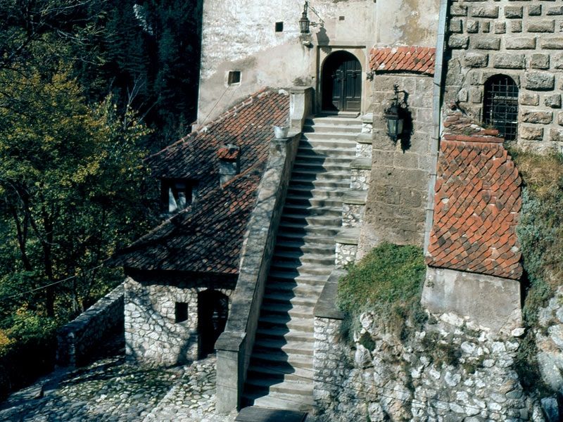 Bucharest: Peles Castle, Dracula's Castle and Brasov Tour - Who should book this tour?