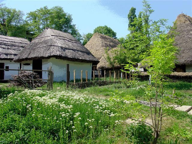 Bucharest: Private City Tour Guided Experience - Key points to know before booking