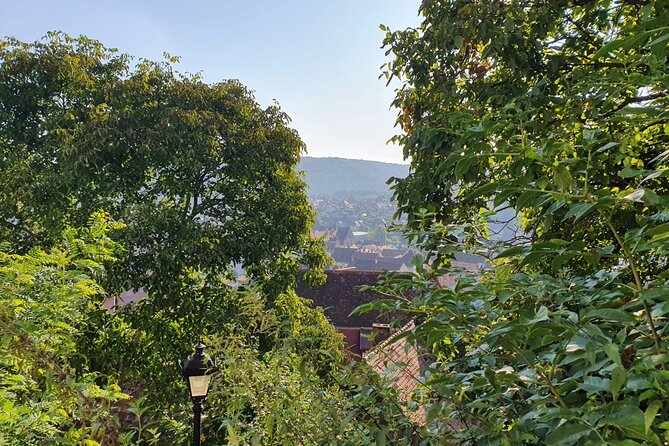 Bucharest Private Tour with Dracula's Grave and Ceaușescu Mansion - Key points to know before booking