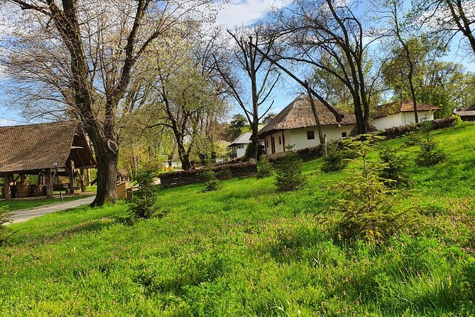Bucharest Private Tour with Dracula's Grave and Ceaușescu Mansion - What the $174.53 price really covers