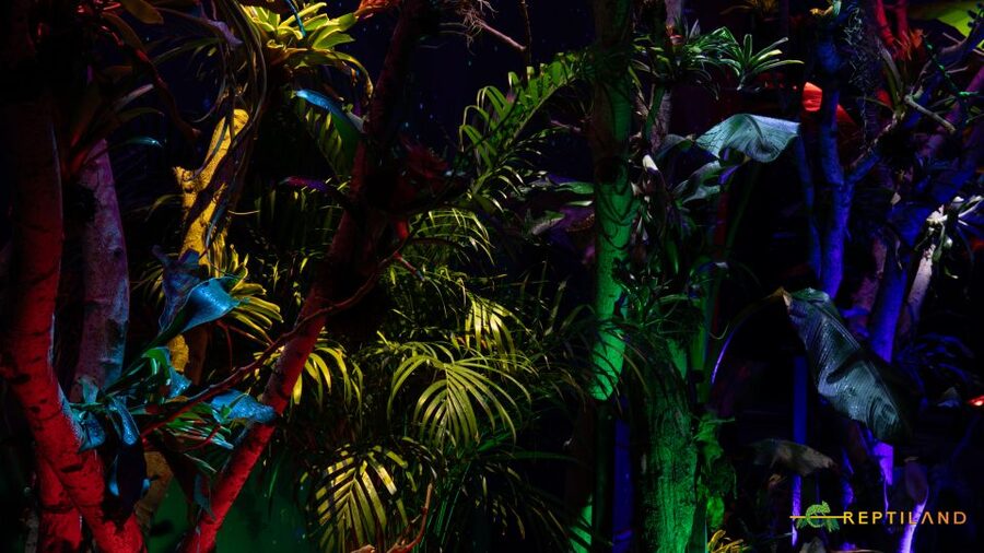 Bucharest: Reptiland Bucharest Entry Ticket - Meeting chameleons, iguanas, crocodiles, and snakes