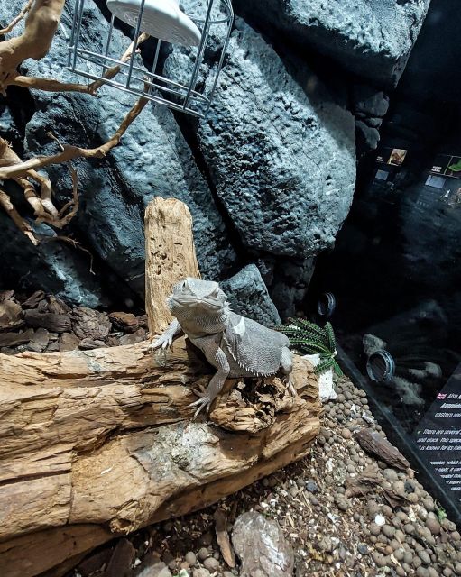 Bucharest: Reptiland Bucharest Entry Ticket - Why the ecology message matters