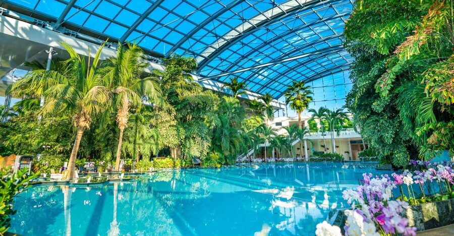 Bucharest: Therme Bucharest Entry Ticket and Transfer - From central Bucharest to the warm pools