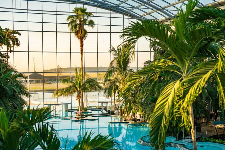 Bucharest: Therme Bucharest Entry Ticket and Transfer - The Palm: tropical calm without leaving Bucharest