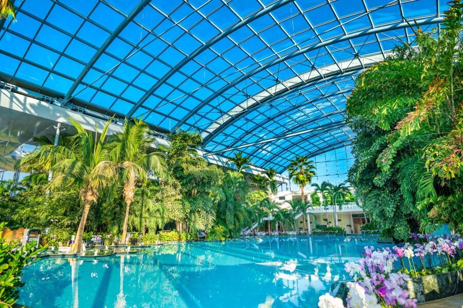 Bucharest: Therme Bucharest Entry Ticket and Transfer - Who will enjoy this Bucharest spa trip?
