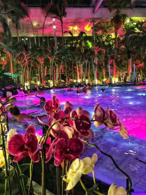 Bucharest: Therme Spa Night Experience with Transfer - From Grand Hotel Bucharest to Therme after dark